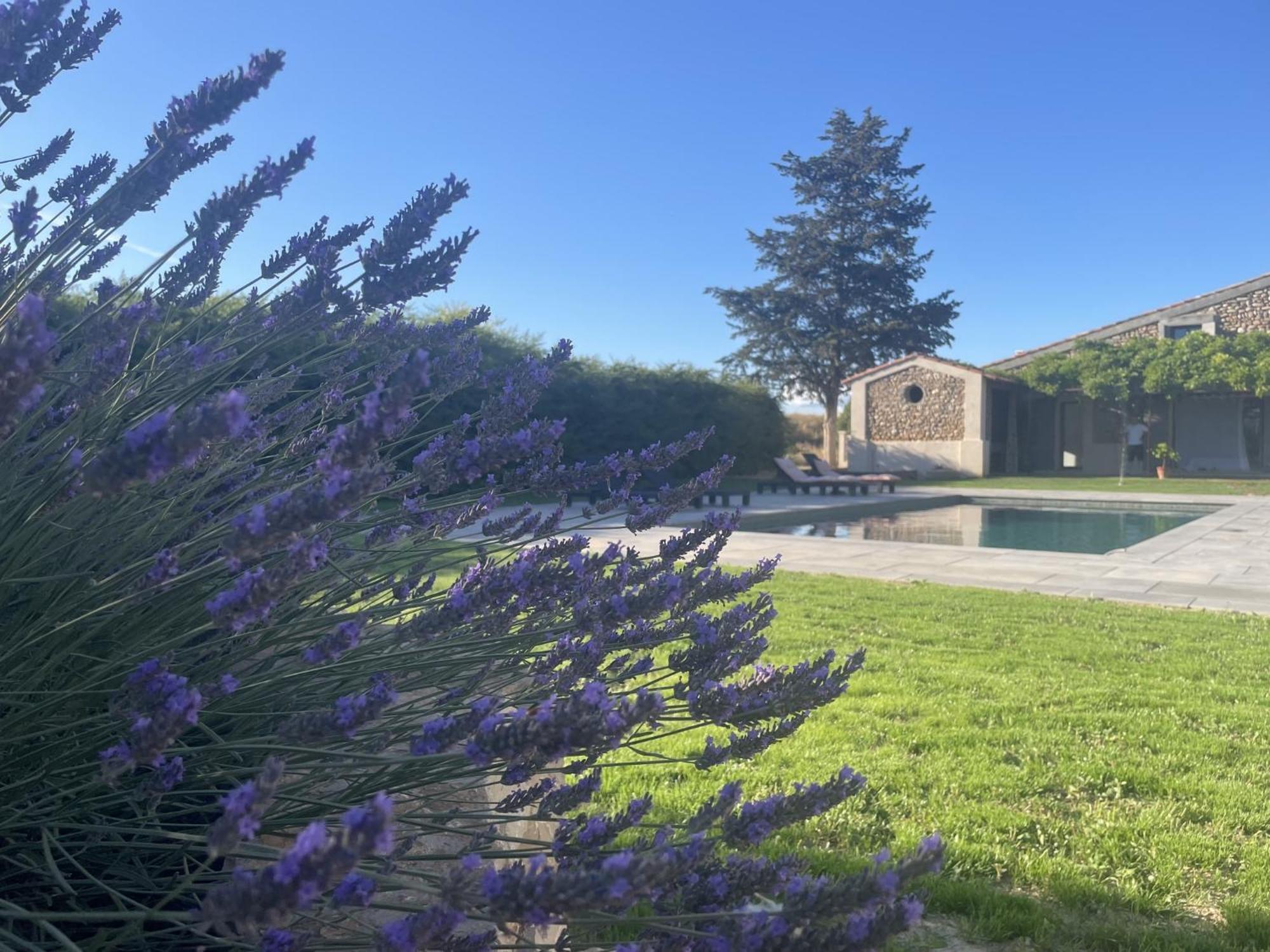 Les Mazets Du Pas Hotel Greoux-les-Bains Luaran gambar
