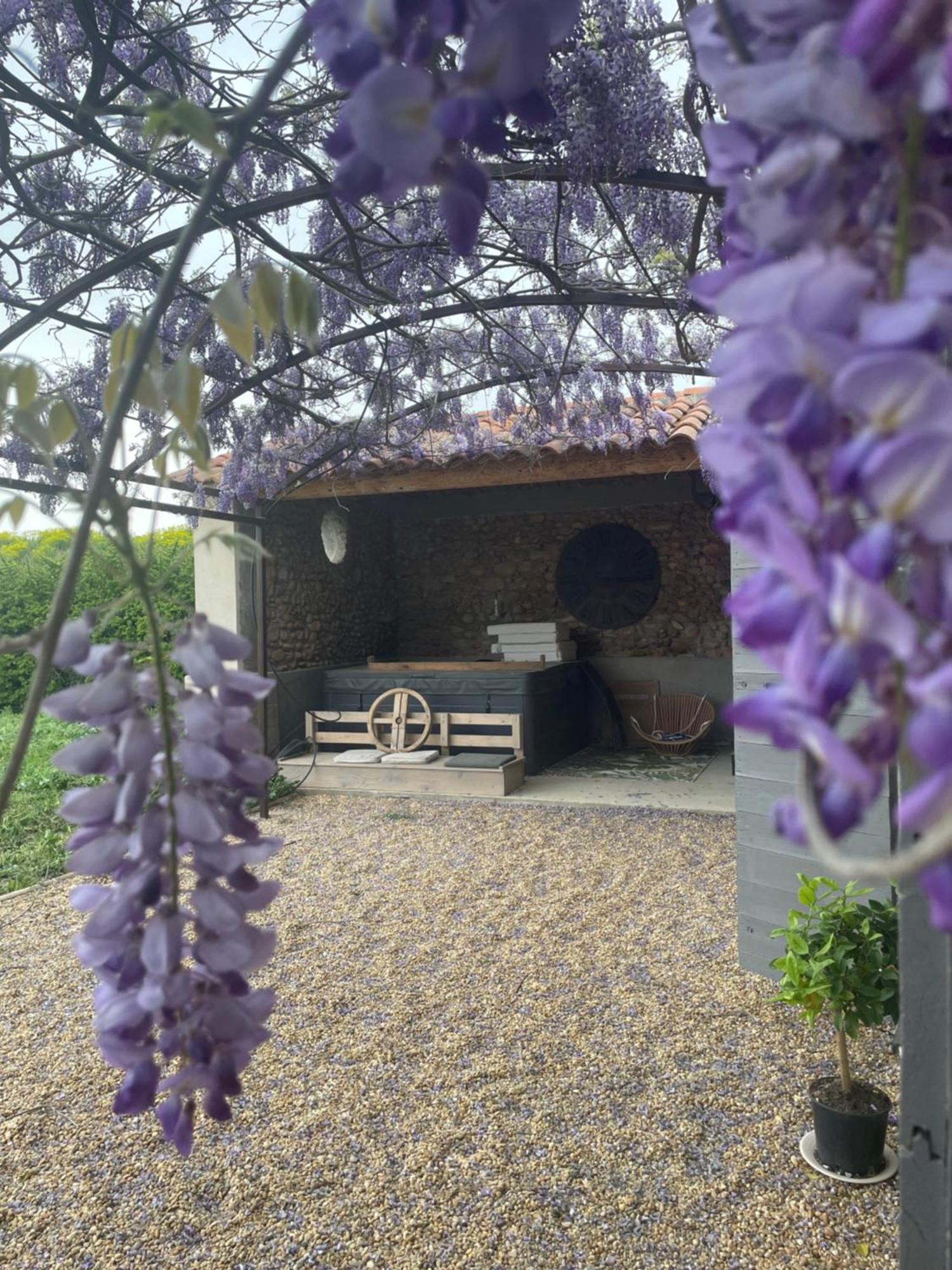 Les Mazets Du Pas Hotel Greoux-les-Bains Luaran gambar