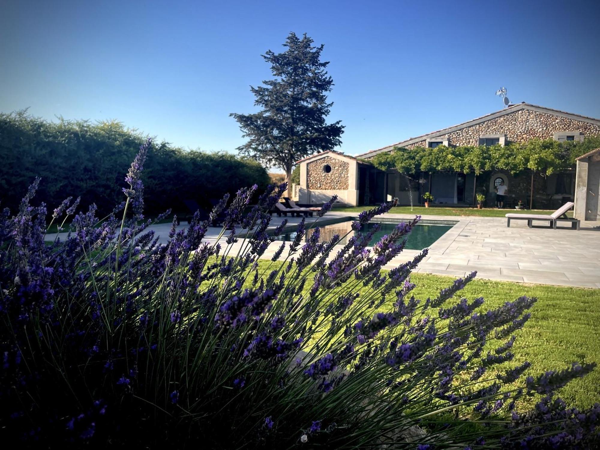 Les Mazets Du Pas Hotel Greoux-les-Bains Luaran gambar